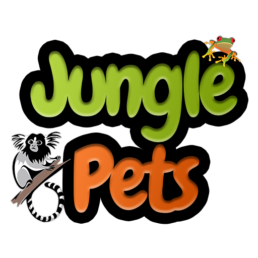 Exotic jungle sales pet store